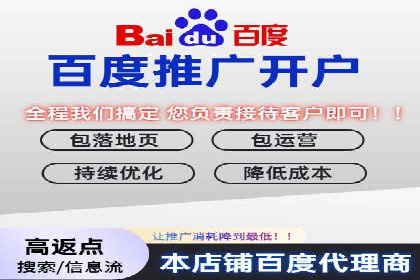 SEM主管实战：案例分析与优化策略